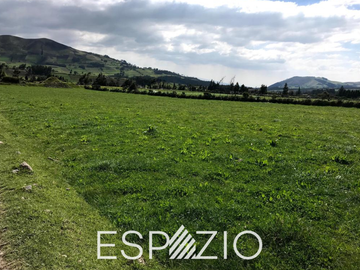 TERRENO EN VENTA SECTOR PESILLO, CAYAMBE
