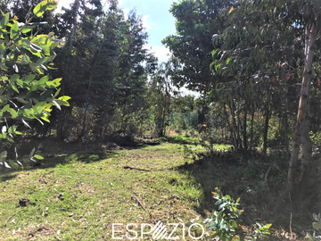 TERRENO EN VENTA SECTOR PESILLO, CAYAMBE