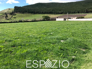TERRENO EN VENTA SECTOR PESILLO, CAYAMBE