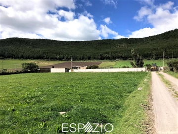 TERRENO EN VENTA SECTOR PESILLO, CAYAMBE