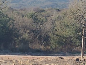 REBAJADO!!! Solo por este mes. Lotes de 1050m2 en San Lorenzo, Córdoba. USD 13.000