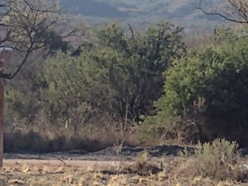 REBAJADO!!! Solo por este mes. Lotes de 1050m2 en San Lorenzo, Córdoba. USD 13.000