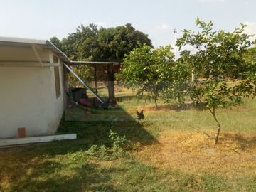 VENDEMOS FINCA EN LA VEREDA TARQUI DEL MUNICIPIO DE FLANDES.