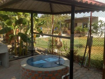 VENDEMOS FINCA EN LA VEREDA TARQUI DEL MUNICIPIO DE FLANDES.