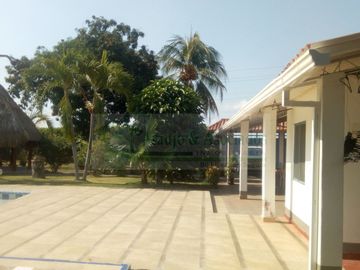 VENDEMOS FINCA EN LA VEREDA TARQUI DEL MUNICIPIO DE FLANDES.