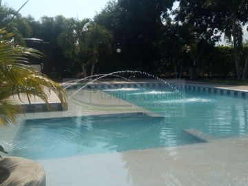 VENDEMOS FINCA EN LA VEREDA TARQUI DEL MUNICIPIO DE FLANDES.