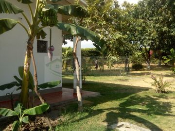 VENDEMOS FINCA EN LA VEREDA TARQUI DEL MUNICIPIO DE FLANDES.
