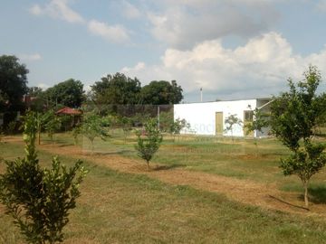 VENDEMOS FINCA EN LA VEREDA TARQUI DEL MUNICIPIO DE FLANDES.