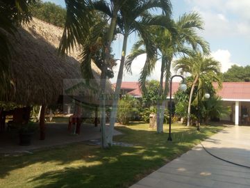 VENDEMOS FINCA EN LA VEREDA TARQUI DEL MUNICIPIO DE FLANDES.