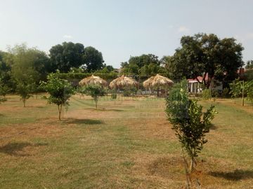 VENDEMOS FINCA EN LA VEREDA TARQUI DEL MUNICIPIO DE FLANDES.