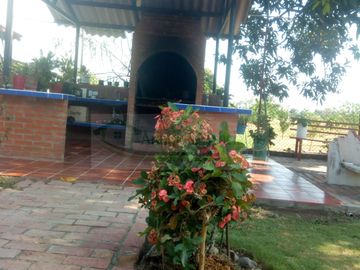 VENDEMOS FINCA EN LA VEREDA TARQUI DEL MUNICIPIO DE FLANDES.