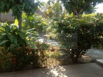 VENDEMOS FINCA EN LA VEREDA TARQUI DEL MUNICIPIO DE FLANDES.