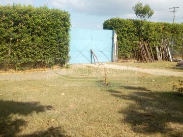 VENDEMOS FINCA EN LA VEREDA TARQUI DEL MUNICIPIO DE FLANDES.