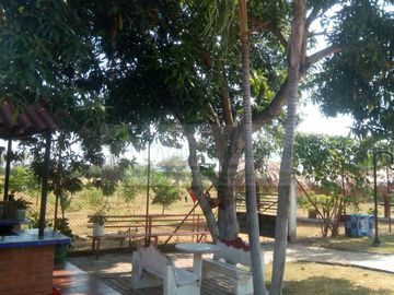 VENDEMOS FINCA EN LA VEREDA TARQUI DEL MUNICIPIO DE FLANDES.