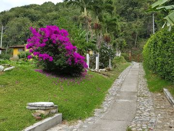 Hermosa finca para venta o arriendo!