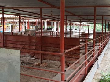 Hermosa finca para venta o arriendo!