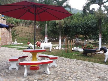 Hermosa finca para venta o arriendo!