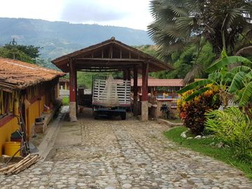 Hermosa finca para venta o arriendo!