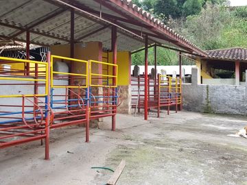 Hermosa finca para venta o arriendo!