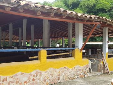 Hermosa finca para venta o arriendo!