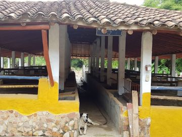 Hermosa finca para venta o arriendo!