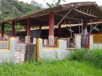 Hermosa finca para venta o arriendo!