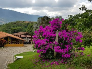 Hermosa finca para venta o arriendo!