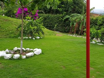 Hermosa finca para venta o arriendo!
