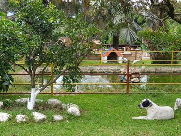 Hermosa finca para venta o arriendo!