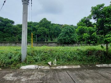 132 sqm Vacant Residential Lot in Laguna Belair 4 Bgy. Don Jose Sta. Rosa Laguna