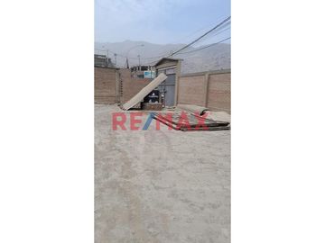 1065620 Se Vende Terreno De 2,500 M2 En Anexo 22 Jicamarca