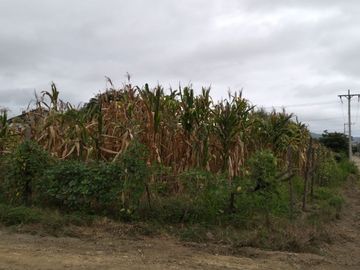 terreno de venta en san Vicente Manabí