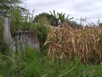terreno de venta en san Vicente Manabí