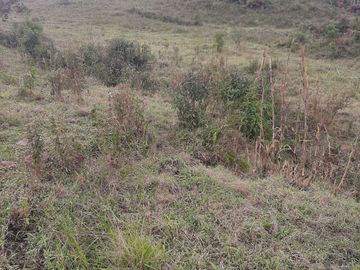 VENDO TERRENO BARATO EN CONCEPCIÓN ANTIOQUIA.