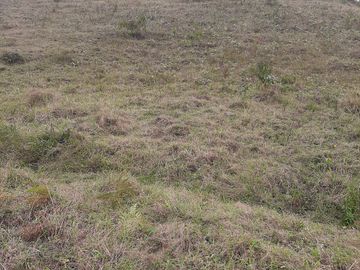 VENDO TERRENO BARATO EN CONCEPCIÓN ANTIOQUIA.