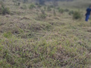 VENDO TERRENO BARATO EN CONCEPCIÓN ANTIOQUIA.