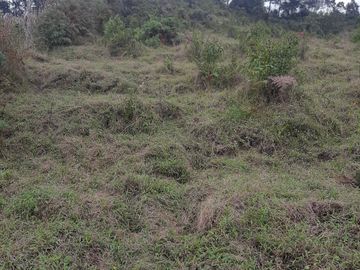VENDO TERRENO BARATO EN CONCEPCIÓN ANTIOQUIA.