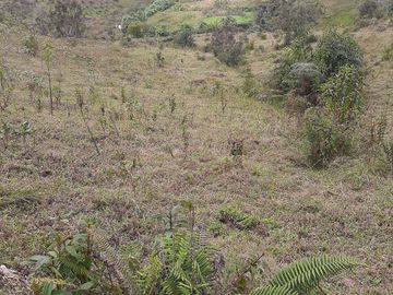 VENDO TERRENO BARATO EN CONCEPCIÓN ANTIOQUIA.