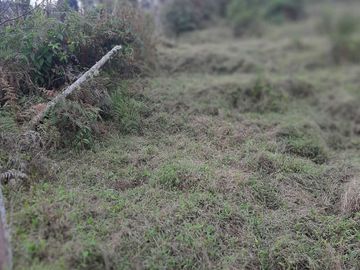VENDO TERRENO BARATO EN CONCEPCIÓN ANTIOQUIA.