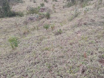 VENDO TERRENO BARATO EN CONCEPCIÓN ANTIOQUIA.