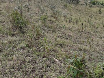 VENDO TERRENO BARATO EN CONCEPCIÓN ANTIOQUIA.