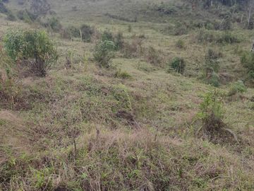 VENDO TERRENO BARATO EN CONCEPCIÓN ANTIOQUIA.