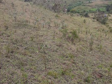 VENDO TERRENO BARATO EN CONCEPCIÓN ANTIOQUIA.