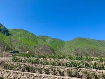 TERRENO DE 1,125 m2 EN ASIA COAYLLO-EN CONDOMINIO
