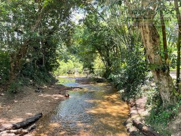 VENDEMOS HERMOSA FINCA EN EL CARMEN DE ÁPICALA.