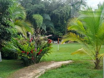 VENDEMOS HERMOSA FINCA EN EL CARMEN DE ÁPICALA.