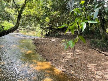 VENDEMOS HERMOSA FINCA EN EL CARMEN DE ÁPICALA.