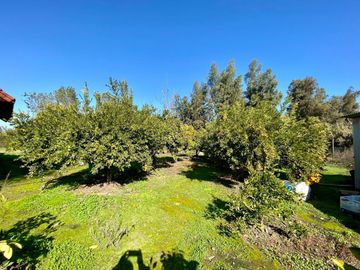 Las Palmeras De Lonquén, Parcela 95