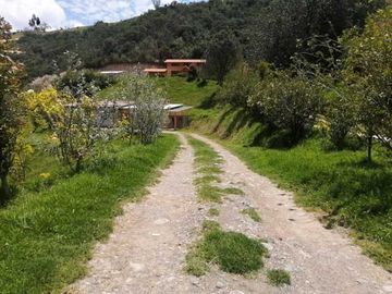 Hermosa quinta en venta por estrenar con 10.000m2T sector Tutupali Chico