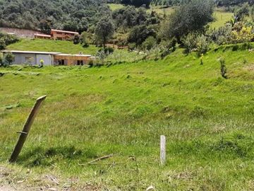 Hermosa quinta en venta por estrenar con 10.000m2T sector Tutupali Chico
